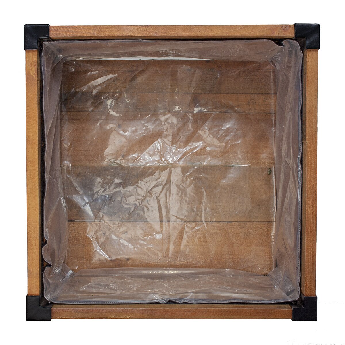 terrarium plants for sale Terrarium Plant Kit