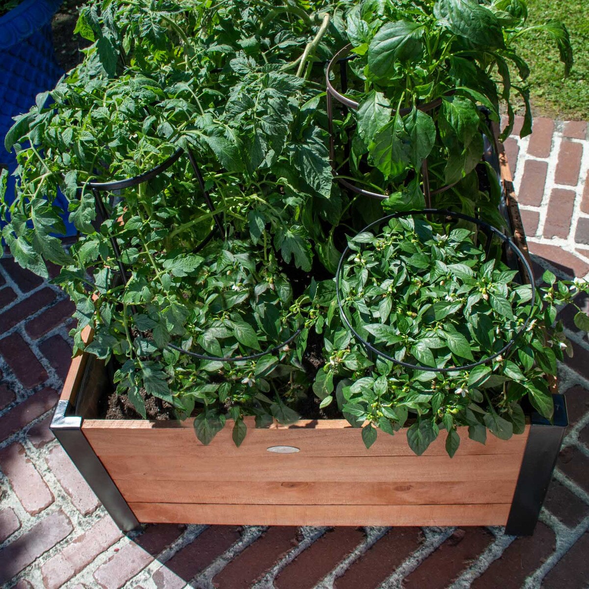 Recycled wood raised planter