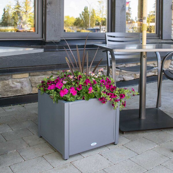 Grapevine metal square planter