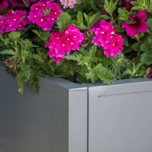 Grapevine metal square planter