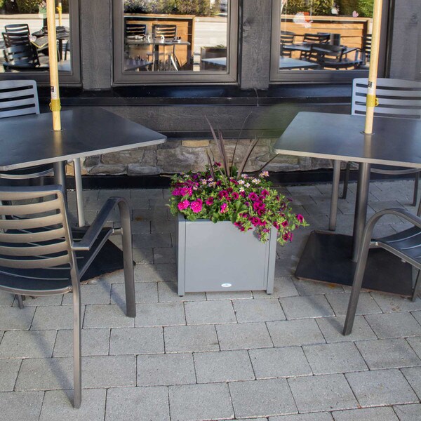 Grapevine metal square planter