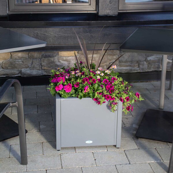 Grapevine metal square planter