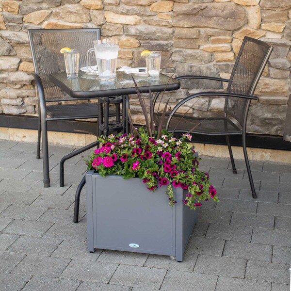 Grapevine metal square planter