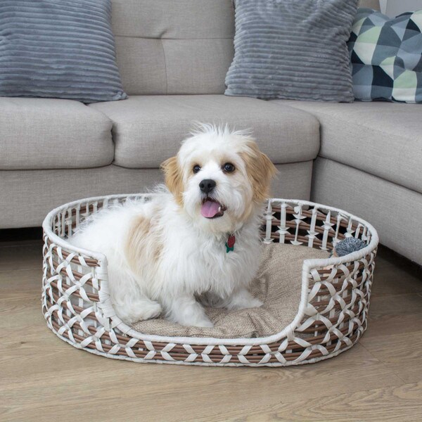 Oval Resin Wicker Pet Bed